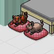 hobix's House