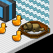 xriadx's room