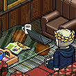 Cozy Room(70+)