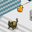 Kartal:P's room