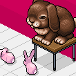 2 :F   Rabbit World   :F