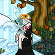 illusion(four seasons)