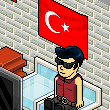 kral ın evi