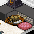 brokenheart06's room