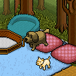 Pets