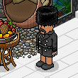 Cygnus12's room