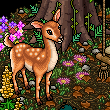Jungle