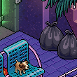 zYavru Köpek Habitat Paketi