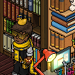 Gringo City "Library"