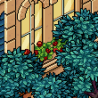 Cadde V2