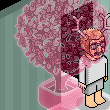 hasu64's room