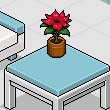 buse_sena's room