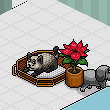 emre61332's room