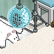 nihatcan99's room