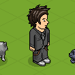 Pets