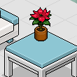 @q-elif86-p@'s room