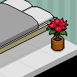 emirhan48464's room