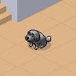 Evim 5