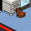 evim
