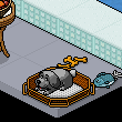 HC ODAM :)