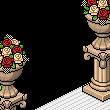 Elifooo