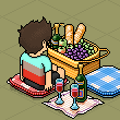 Habbo Piknik Yeri