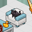 ada661cool's room