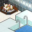 CuteCeyda321's room