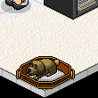 enes4526's room