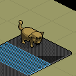 My room <3