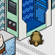 cerenwt019's room