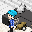 maychl's room