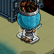 coyistik room