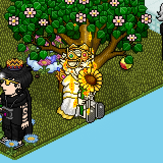 Photo by LinneCerqueira!