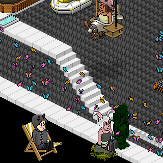 Photo by Jebo