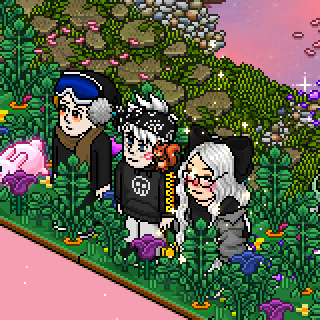 Photo by Kiiu