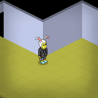 Photo by LooKHabbO
