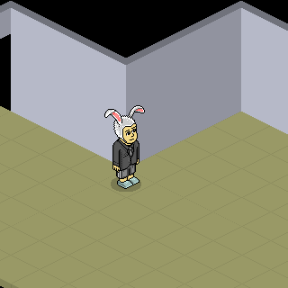Photo by LooKHabbO