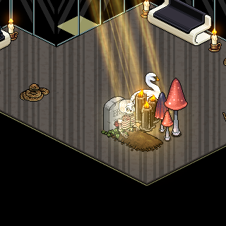 Photo by LooKHabbO