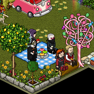 Photo by LooKHabbO