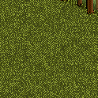 Photo by dr.chic