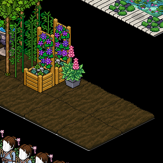 Photo by Sushita