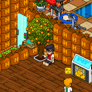 Photo by Plaack