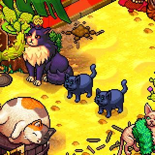 Photo by NathBabyLoka