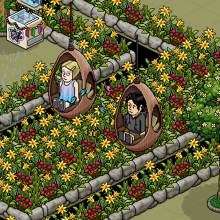 Photo by antonianohabbo