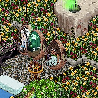 Photo by antonianohabbo