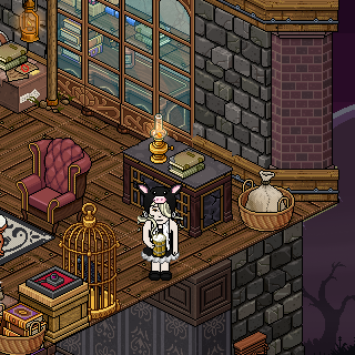 Photo by antonianohabbo