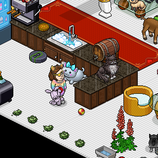 Photo by antonianohabbo