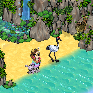 Photo by antonianohabbo