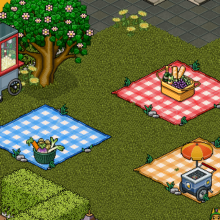 Photo by Adriano